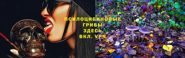 винт Армянск