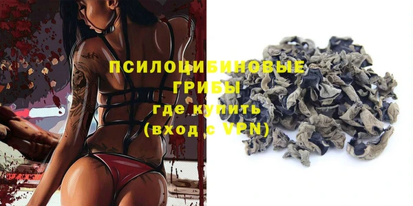 винт Армянск