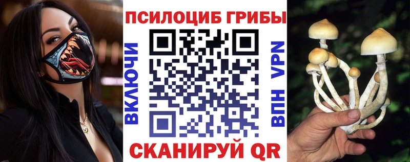 Галлюциногенные грибы Psilocybe Рузаевка
