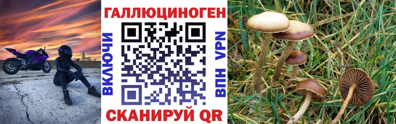 Галлюциногенные грибы Magic Shrooms  как найти   Рузаевка 